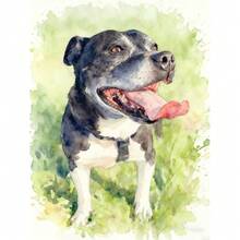 Tranh vẽ chân dung thú cưng theo yêu cầu - Tranh màu nước cá nhân hóa hình mèo/chó, món quà độc đáo dành cho người yêu thú cưng, trang trí nhà cửa cho phòng khách, phòng ngủ, văn phòng, tranh không khung. - Nhiều màu - Xem 5