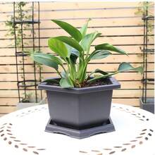 1 Set Square & Rectangular Faux Zisha Flower Pots, Bonsai Pots, Small Planter Pots, Succulent Pots