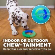 Outward Hound 2-In-1 Dental Dog Chew Wheel Ring &Amp; Rope Tug Toy For Teething Puppies &Amp; Dogs, Mint-Scented &Amp; Teeth-Cleaning, 9-Inch, Purple - MàuF - Xem 6