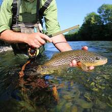 1pc High Quality T-Shape Hook Remover - Made Of Aluminum Alloy, Easy To Use, Portable Outdoor Fishing Tool, Quickly Removes Hooks, Suitable For Camping And Travel