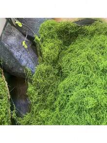 逼真的仿真苔藓，适用于DIY工艺品和家居装饰 - 栩栩如生的绿色植物草，非常适合微缩景观、婚礼装饰、圣诞节、新年道具装饰。 - 彩色 - 查看 10