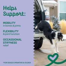 Wholesome Pride Calming Supplement For Dogs - 90 Soft Chews - Natural Anxiety Relief, Separation &Amp; Noise Stress Support With Herbal Ingredients, No Melatonin, Non-Drowsy - ColorC - 查看 2