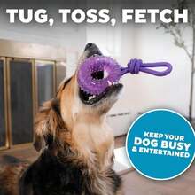 Outward Hound 2-In-1 Dental Dog Chew Wheel Ring &Amp; Rope Tug Toy For Teething Puppies &Amp; Dogs, Mint-Scented &Amp; Teeth-Cleaning, 9-Inch, Purple - ColorB - 查看 5