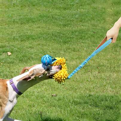 1个狗狗拔河玩具，多功能咀嚼玩具，配有橡胶球和柔软毛绒面条，适合训练小型、中型和大型犬。