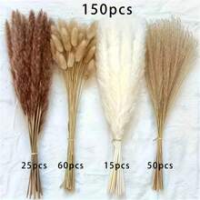 25/50/80/160pcs Natural High Quality Reed Grass Decor - Dried Rattan Flowers, Suitable For Home, Wedding, Event And Holiday Decoration (Christmas, Halloween, Easter, Thanksgiving) - Multicolor - View 7