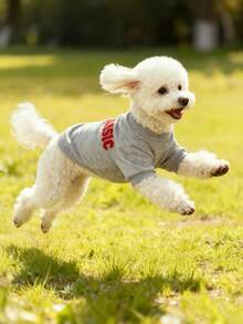 1pc HUITAIYANG Pet Sweatshirt, Dog Sweatshirt Dog Clothes, Pet Autumn/Winter Clothes, Cat Sweatshirt Cat Anti-Shedding Sweatshirt, Comfortable Soft Pet Winter Clothes, Christmas Pet Gift, Suitable For Medium And Small Dogs And Cats - Multicolor - View 12