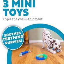 Outward Hound 2-In-1 Dental Dog Chew Wheel Ring &Amp; Rope Tug Toy For Teething Puppies &Amp; Dogs, Mint-Scented &Amp; Teeth-Cleaning, 9-Inch, Purple - ColorE - 查看 3