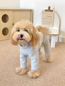 Bodysuit Hewan Peliharaan 4 Kaki Berwarna Polos yang Lembut dan Elastis, Nyaman untuk Dipakai di Rumah, Cocok untuk Anjing & Kucing Kecil dan Sedang - MultiWarna - View 10