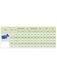 2Pcs Toddler Girls Boys Swimsuit Set Dolphin Print Stand Collar Long Sleeve Tops Shorts And Hat Rash Guard Swimwear