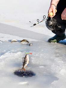 GOTURE 1个带滑动尾的冰钓饵，适用于冬季冰钓、冰钩钓，以及钓鲈鱼、黑鲈、魟鱼和角鲨。 - 彩色 - 查看 8