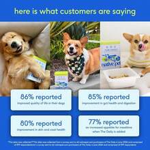 Native Pet Dog Vitamins &Amp; Supplements - 11-In-1 Vitamin Powder For Dog Food Topper - Collagen, Glucosamine, Probiotics, Omega &Amp; More- Supports Healthy Gut, Mobility &Amp; Overall Health - 30 Scoops - MàuA - Xem 9