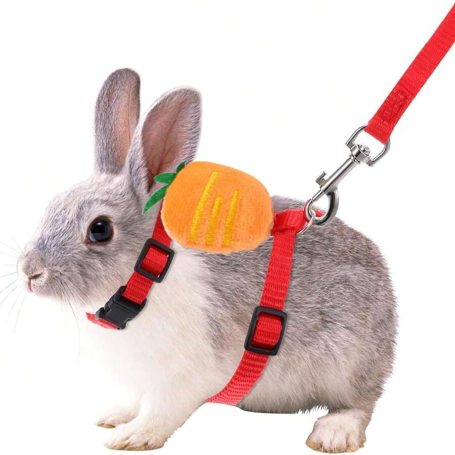 1 قطعة سير أرنب قابل للتعديل، صدرية أرنب بتصميم نقش الجزر، صدرية أرنب بأذن الدب الجميلة، سير وصدرية للحيوانات الأليفة الصغيرة والأرانب، مناسبة للحيوانات الأليفة الصغيرة مثل الأرانب والقطط والجراء وخنازير غينيا والخفافيش، أطواق وأساور للحيوانات الأليفة الصغيرة، صدريات مع أساور قابلة للتعديل - الأحمر - مشاهدة 1