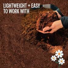 3lb/10lb Organic Coconut Coir Brick (Suitable For Plants) - 100% Compressed Coconut Coir Brick,  Balanced PH Value, Coconut Coir Growing Medium Potting Soil, Suitable For Herbs, Flowers, Plants And Reptiles - 卡其色 - 查看 5