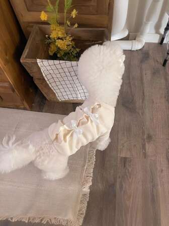 LANGXINGCS 1件冬季保暖宠物连帽衫，公主风宠物狗衣服，带蝴蝶结设计，防寒宠物猫咪卫衣打底衫，适合中小型宠物