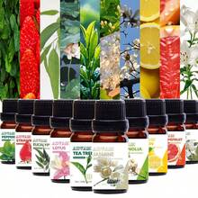 10ml Essential Oils Parfum Home Perfume Jasmine,Grapefruit,Lemon,Peppermint,Magnolia,Musk,Eucalyptus,Tea Tree,Strawberry,Lotus For Diffusers,Candles Making,Soaps,Car Aromatherapy,Spa Oil,Aromatherapy,House Freshener-Home & Living / Home Decor / Home Fragrance Products Bestfriend Gifts Gift For Woman - Multicolor - View 1