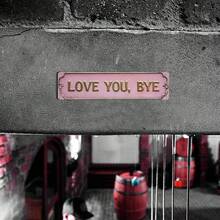 2D Flat "Love You Goodbye" Metal Sign, 16 * 4 Inch "Love You, Goodbye" Metal Decorative Plaque, Modern Love Themed Metal Mural, Multi-Purpose Family Themed Wall Decor, Suitable For Home, Entrance, Corridor, Room, Wedding Decor, Novel Street Signs - Màu Hồng baby - Xem 7