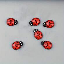 6 món đồ trang trí xe hơi hình bọ rùa - Phụ kiện xe hơi vui nhộn cho gương chiếu hậu hoặc bảng điều khiển, thiết kế bọ rùa sống động - bọ rùa - Xem 8