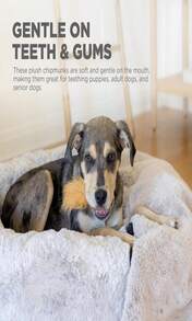 Outward Hound By Nina Ottosson Puppy Hide N' Slide Treat Puzzle Enrichment Dog Toy, Green - ColorF - 查看 4