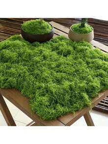 逼真的仿真苔藓，适用于DIY工艺品和家居装饰 - 栩栩如生的绿色植物草，非常适合微缩景观、婚礼装饰、圣诞节、新年道具装饰。 - 彩色 - 查看 2