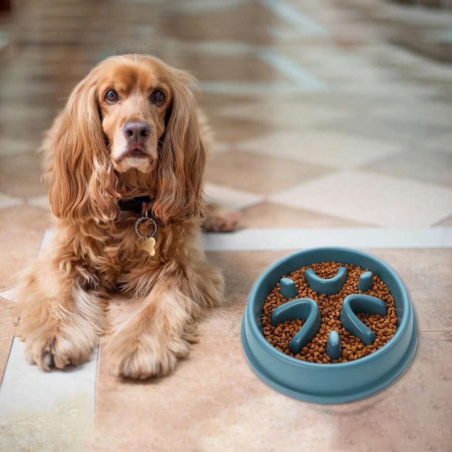 Slow Feeder Dog Bowls Anti-Choking Puzzle Pet Bowls Non Slip Interactive Maze Dishes For Dogs And Cats Food Training - 藍色 - 查看 1
