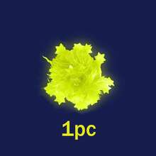 15个夜光手环 - 霓虹荧光黑光反应派对礼品，适用于荧光派对、生日用品、闪光花环手环