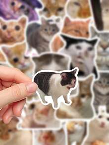 50张猫咪表情包贴纸，适用于笔记本电脑、手册、手机壳等，趣味装饰贴花 - 彩色 - 查看 6