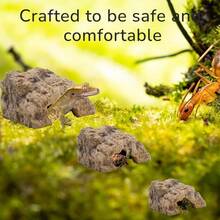 Reptile Hide, Terrarium Habitat Decor Leopard Gecko, Bearded, Ball Python, Snake, Tortoise Resin, Medium - Resin + Medium - View 6