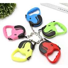 Standard Leashes - Multicolor - View 3