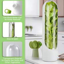 1个/2个装保鲜盒，用于保鲜蔬菜、芹菜和氦气的风味，适用于冰箱冷藏，可保鲜罐装香草的风味，可将薄荷冷藏保存，保鲜蔬菜风味2-3周，蔬菜保鲜用品，返校用品，礼品，丰收节，家庭聚餐 - 彩色 - 查看 10