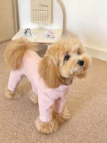 Bodysuit Hewan Peliharaan 4 Kaki Berwarna Polos yang Lembut dan Elastis, Nyaman untuk Dipakai di Rumah, Cocok untuk Anjing & Kucing Kecil dan Sedang - MultiWarna - View 8