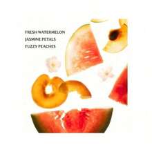 Touchland  Power Mist Hydrating Hand Sanitizer  A Skincare-Forward Hand Sanitizer Spray Enriched With Aloe Vera And Essential Oils, Leaving Hands Sanitized, Hydrated, And Delicately Scented. - 1 mùi hương hoa oải hương - Xem 3