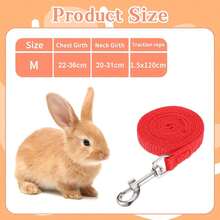 1 قطعة سير أرنب قابل للتعديل، صدرية أرنب بتصميم نقش الجزر، صدرية أرنب بأذن الدب الجميلة، سير وصدرية للحيوانات الأليفة الصغيرة والأرانب، مناسبة للحيوانات الأليفة الصغيرة مثل الأرانب والقطط والجراء وخنازير غينيا والخفافيش، أطواق وأساور للحيوانات الأليفة الصغيرة، صدريات مع أساور قابلة للتعديل - الأحمر - مشاهدة 5
