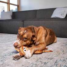 Outward Hound Fire Biterz Giraffe Firehose Plush Dog Toy, Brown, Medium - MàuA - Xem 5