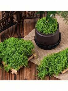 逼真的仿真苔藓，适用于DIY工艺品和家居装饰 - 栩栩如生的绿色植物草，非常适合微缩景观、婚礼装饰、圣诞节、新年道具装饰。 - 彩色 - 查看 12