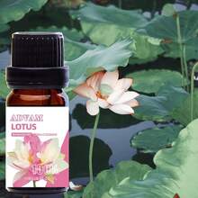 10ml Essential Oils Parfum Home Perfume Jasmine,Grapefruit,Lemon,Peppermint,Magnolia,Musk,Eucalyptus,Tea Tree,Strawberry,Lotus For Diffusers,Candles Making,Soaps,Car Aromatherapy,Spa Oil,Aromatherapy,House Freshener-Home & Living / Home Decor / Home Fragrance Products Bestfriend Gifts Gift For Woman - Multicolor - View 8