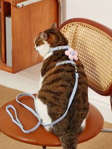 PETSIN 可爱花朵形猫背带带牵引绳，舒适、轻便、防逃跑宠物牵引套装 - 彩色 - 查看 5