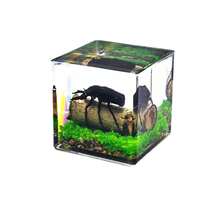 1pc Realistic Insect Habitat Specimen, 4cm-5cm Cubic Bee Pollinating Landscape, Dung Beetle Rolling Dung Landscape, Scorpion Habitat Unique Insect Decor, Micro Landscape Ornament - Multicolor - View 16
