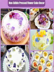 32/64 片干压三色堇花，紫色、蓝色、黄色、白色，适用于树脂 DIY 艺术、珠宝、蜡烛和肥皂制作 - 彩色 - 查看 5