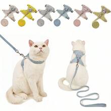 Chaleco y correa para perro, adecuados para perros pequeños y medianos – diseño tipo I, conjunto de chaleco y correa, chaleco  para mascotas, decoración de osito, chaleco ajustable para perros, adecuado para dueños de perros medianos y pequeños - Azul - Ver 3