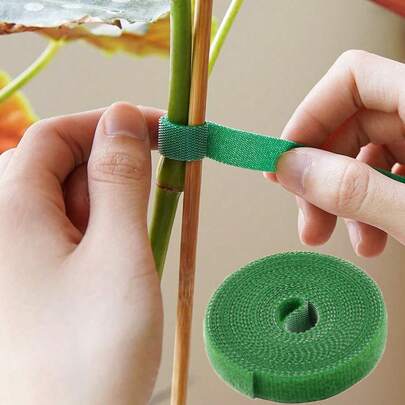 Dây buộc cây bằng nylon, Băng quấn cây, Băng dính hình cây trong vườn nhà có móc và vòng, Phụ kiện quấn giàn tre