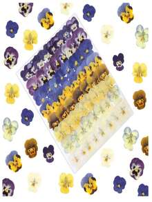 32/64 片干压三色堇花，紫色、蓝色、黄色、白色，适用于树脂 DIY 艺术、珠宝、蜡烛和肥皂制作 - 彩色 - 查看 3