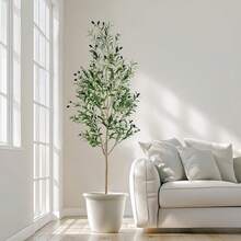 栩栩如生的仿真橄榄树，附赠苔藓！组装简便，底座稳固（建议铺上鹅卵石）。是客厅、办公室、卧室的完美室内装饰，也是现代家居和活动装饰的理想之选。无需维护，持久美观！ - 彩色 - 查看 5