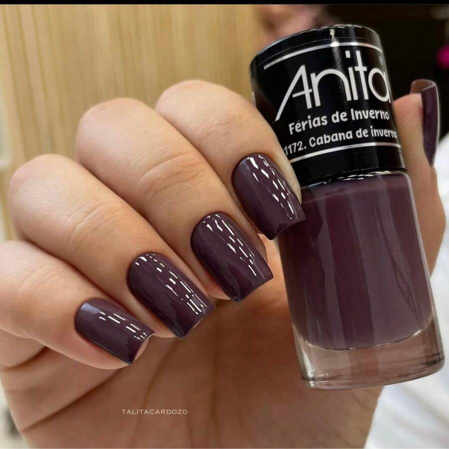 Anita Nail Polish Winter Vacation Collection - Choose Your Nail Polish - 1172 冬季小屋 - 查看 1