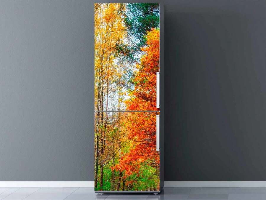 Oedim Kühlschrank "Herbstwald", verschiedene Größen zur Auswahl - 1PC - Übersicht 1