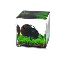1pc Realistic Insect Habitat Specimen, 4cm-5cm Cubic Bee Pollinating Landscape, Dung Beetle Rolling Dung Landscape, Scorpion Habitat Unique Insect Decor, Micro Landscape Ornament - Multicolor - View 12