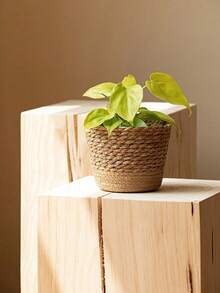 1pc Nordic Style Natural Seagrass Woven Planter Pot, Rattan Plant Pot, Home Decor Flower Basket, Multi-Function Garden Planter Basket, Dirty Clothes Basket, Storage Basket, Garden, Valentine's Day, Wedding, Birthday(Actual Size May Vary Slightly) - Multicolor - View 8