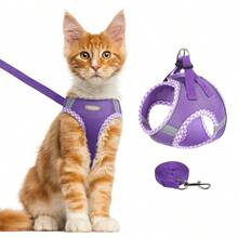 2pcs/Set Soft Breathable Adjustable Reflective Dog Harness Vest, Suitable For Small & Medium Dogs - Multicolor - View 18