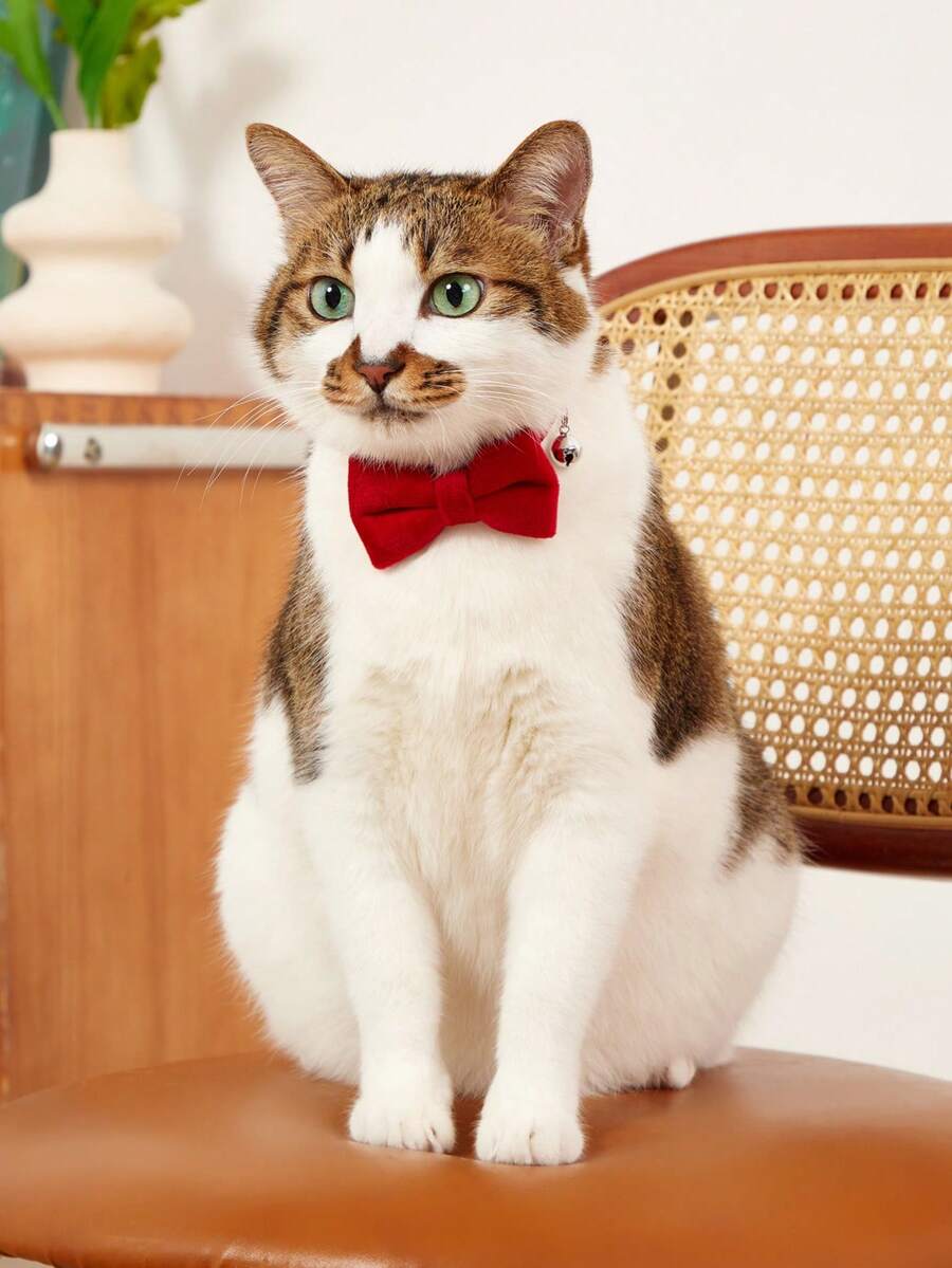 PETSIN 1pc Suede Bowknot Pet Collar With Bell, Adjustable Velvet Neck Strap For Cats