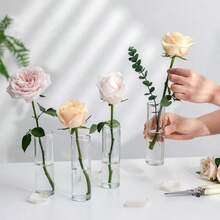 2/6/10 chiếc Bình hoa tròn bằng nhựa trong suốt, thích hợp để trang trí bàn phòng khách, cắm hoa, cũng có thể dùng làm đồ trang trí trong nhà, thích hợp làm quà tặng cho Ngày lễ tình nhân, Đám cưới, Sinh nhật, Ngày của Mẹ và Giáng sinh, Bình hoa phong cách cổ điển có thể tái sử dụng, lý tưởng cho người lập kế hoạch sự kiện - Trong sáng - Xem 4