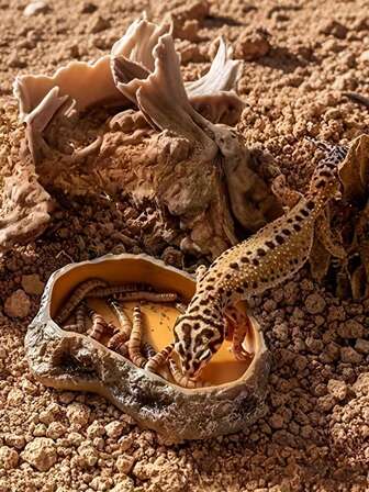 1 pieza Bandeja de alimentación y bebida con forma de roca - a prueba de fugas y fácil de limpiar, adecuada para lagartos con melena, geckos, tortugas, ranas - Decoración interior, accesorios para acuarios - Suministros de cría de reptiles decorativos de bajo mantenimiento y duraderos